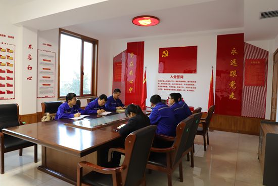 紅紅臉 出出汗 思想體檢促整改——集團(tuán)各黨支部召開(kāi)專題組織生活會(huì)0