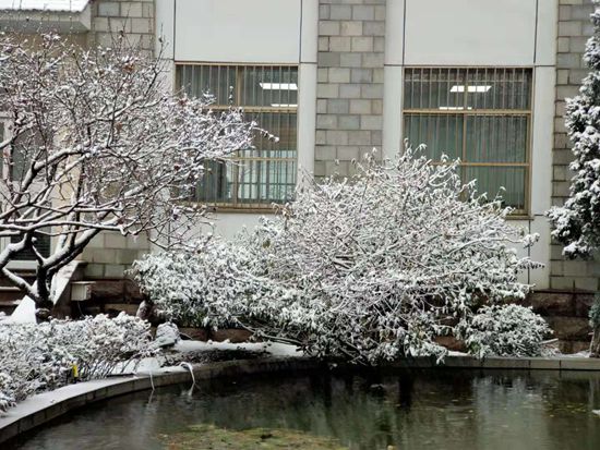 大修進(jìn)行時(shí)，這里有一群可愛(ài)的重山人......41