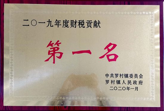 重山集團榮獲羅村鎮(zhèn)財稅貢獻第一名97