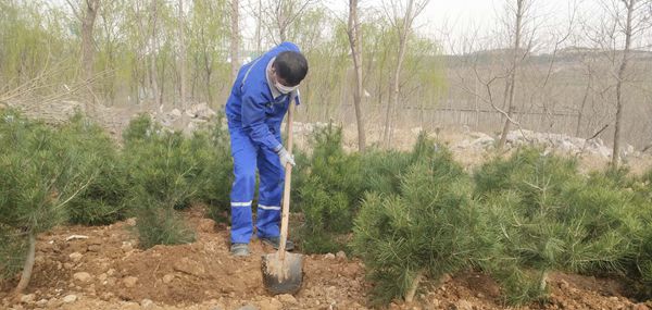 植樹綠化進(jìn)行時(shí)70