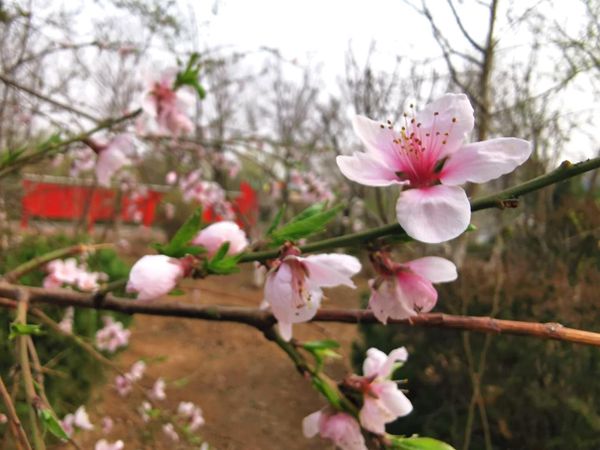 【重山影像】重山春已到 奮斗正當(dāng)時(shí)（二）20