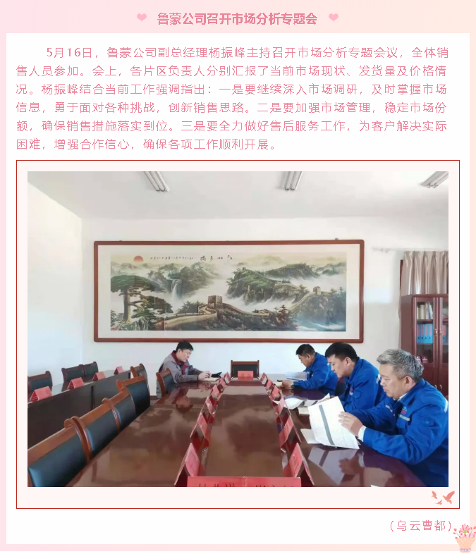 魯蒙公司召開市場分析專題會1