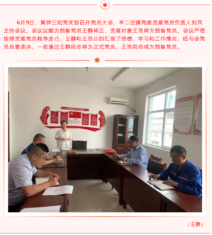 集團(tuán)黨委召開發(fā)展黨員推選會(huì)議8