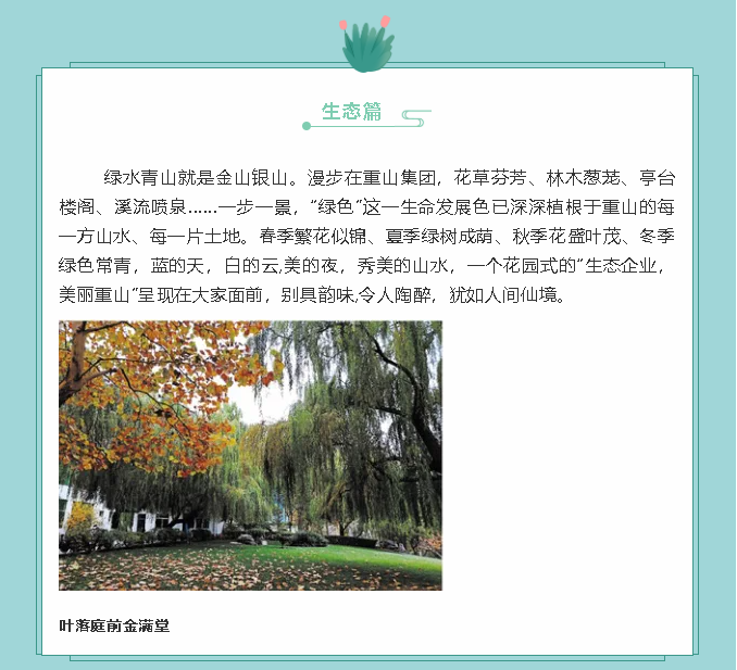 【鏡頭里的重山】邀您共賞重山之美！89