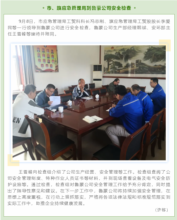 市、旗應(yīng)急管理局到魯蒙公司安全檢查40
