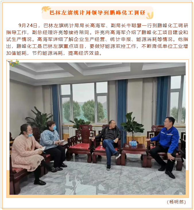 巴林左旗統(tǒng)計局領導到鵬峰化工調研21