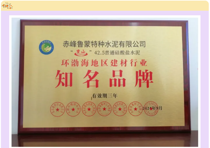 魯蒙公司榮獲2021年度環(huán)渤海地區(qū)建材行業(yè)“誠信企業(yè)”、“知名品牌”榮譽95