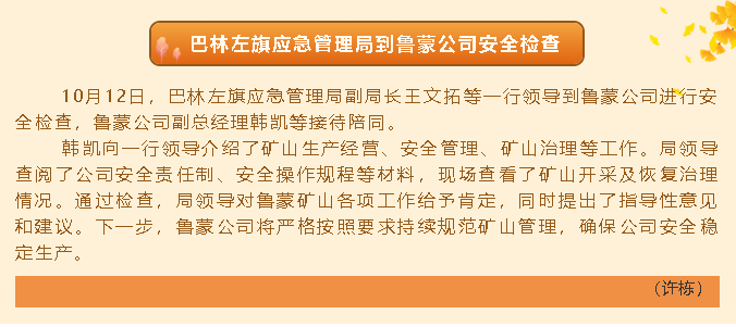 巴林左旗應(yīng)急管理局到魯蒙公司安全檢查72